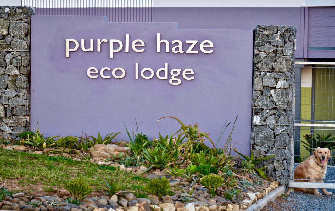 Purple Haze Eco Lodge Chintsa Eksteriør billede